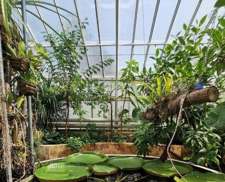 TU Delft Hortus Botanicus, Netherlands